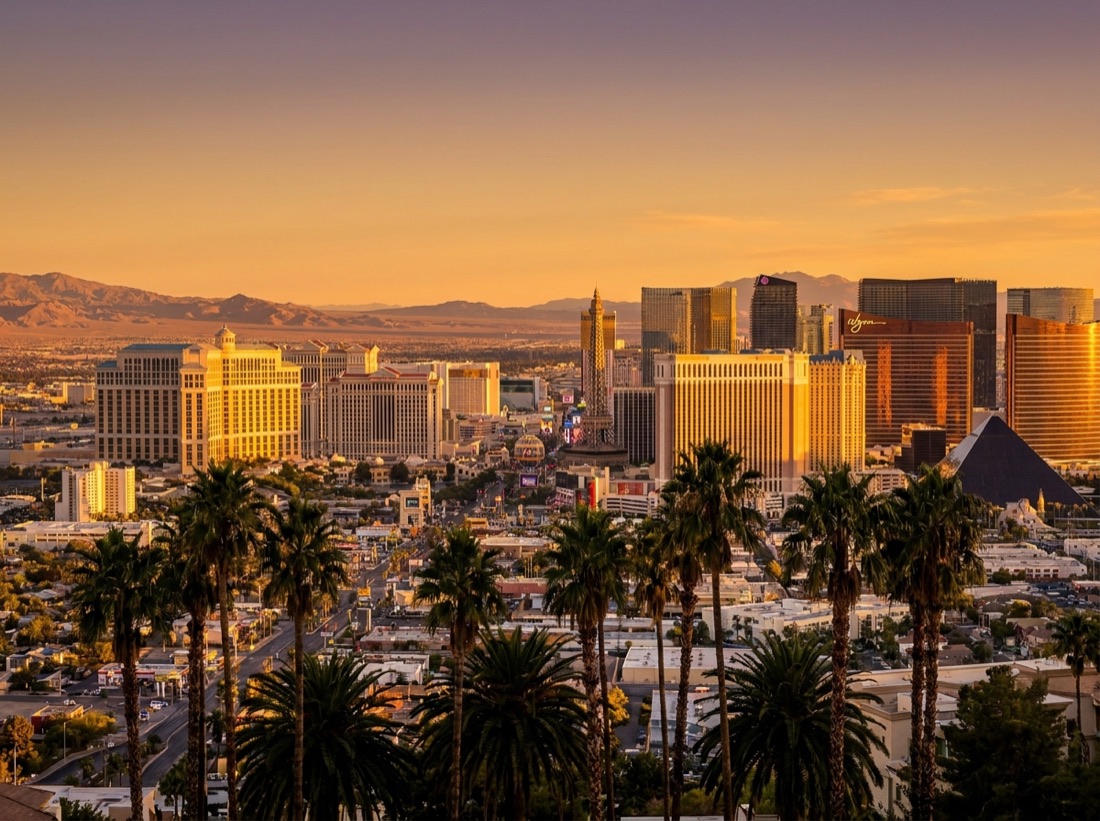 Pooper scooper service in Las Vegas, NV
