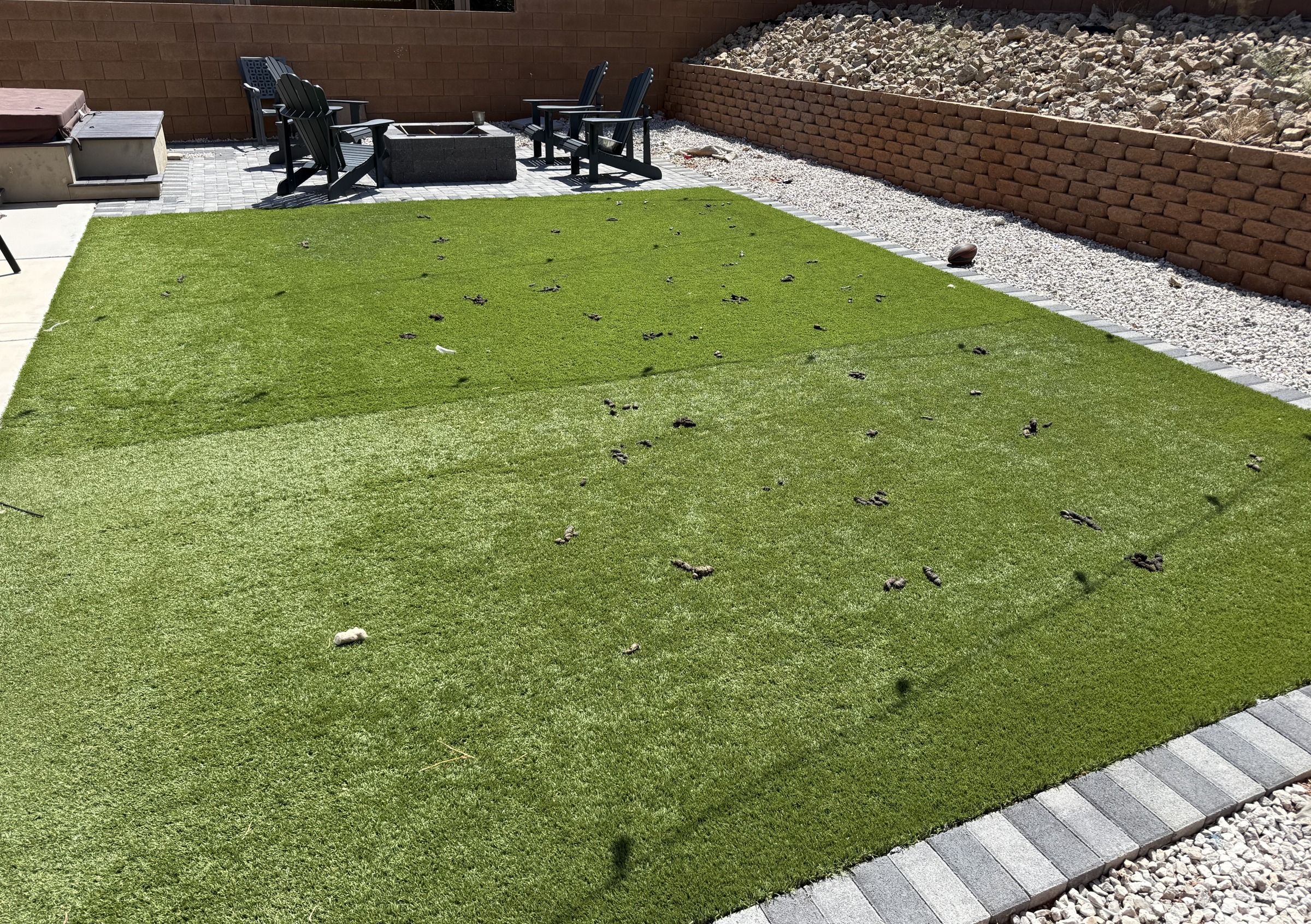 A Las Vegas backyard before a one-time deep clean, with waste built up across rock and grass
