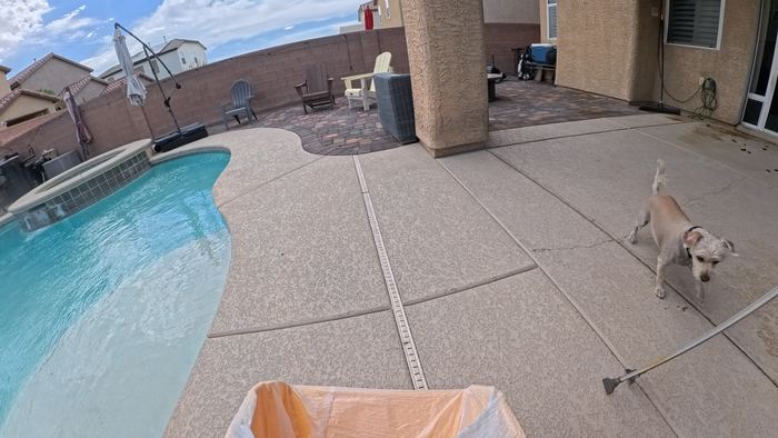A small tan dog walking the edge of a pool deck on a cloudy Las Vegas morning