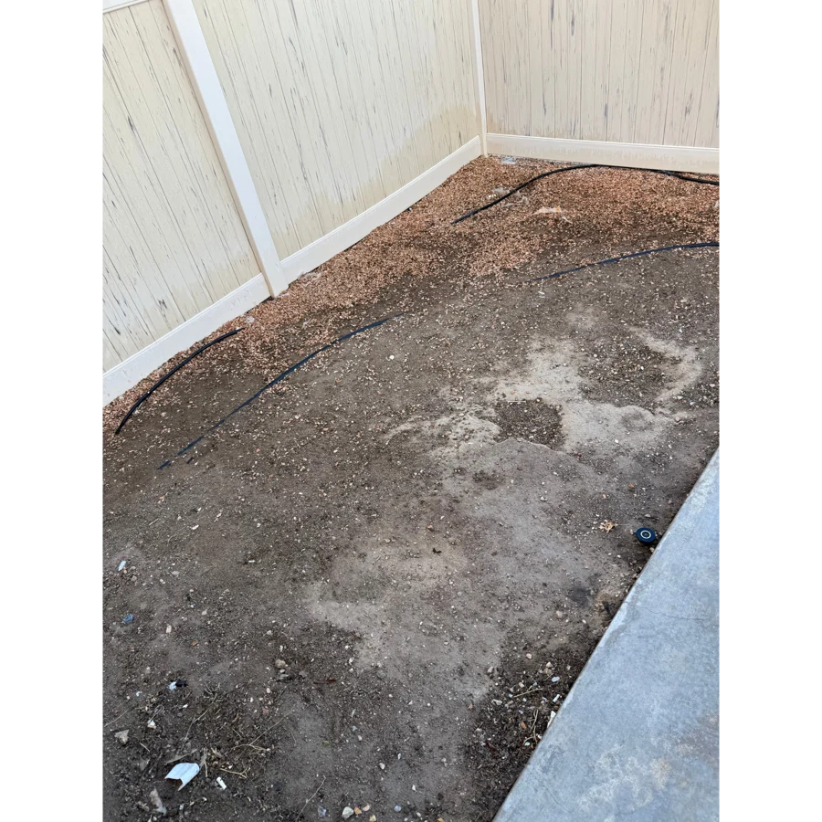 After. Ashley yard, Las Vegas