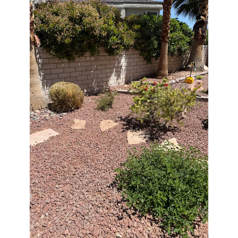 After. Brian yard, Las Vegas