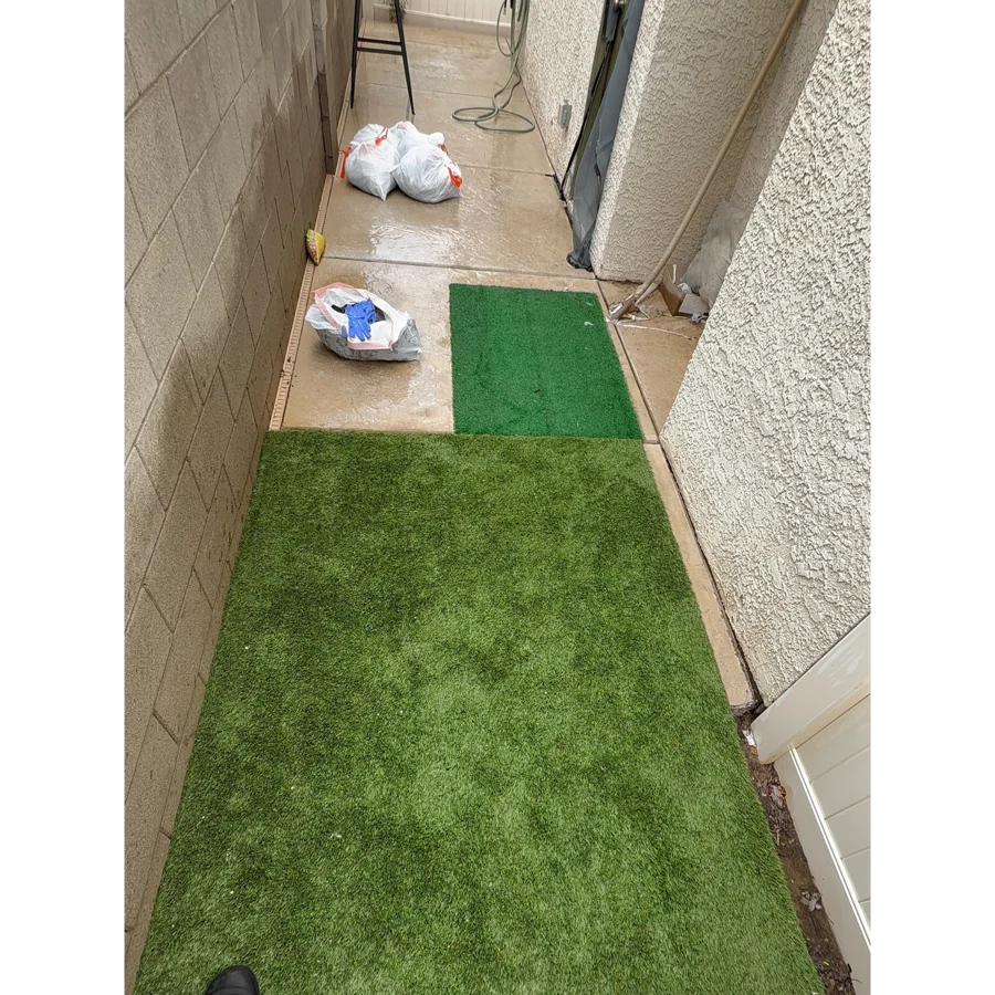 After pet waste cleanup. Brianna Harris yard, Las Vegas