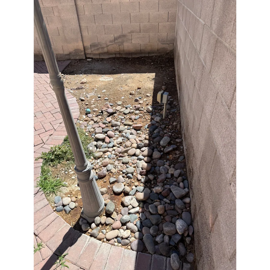 After. Ivy yard, Las Vegas