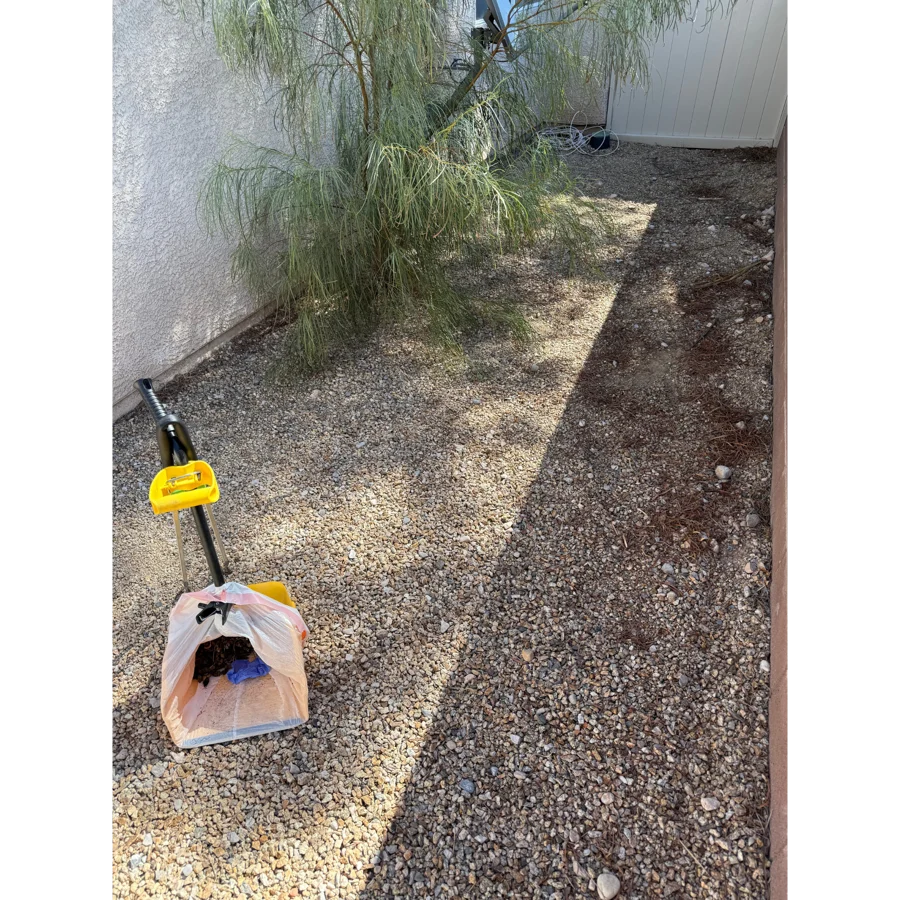After. Jeffery yard, Las Vegas