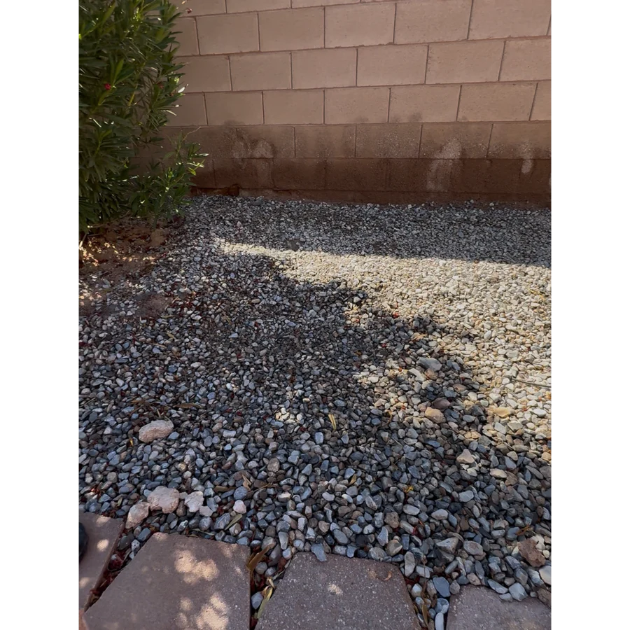 After. Lucky yard, Las Vegas