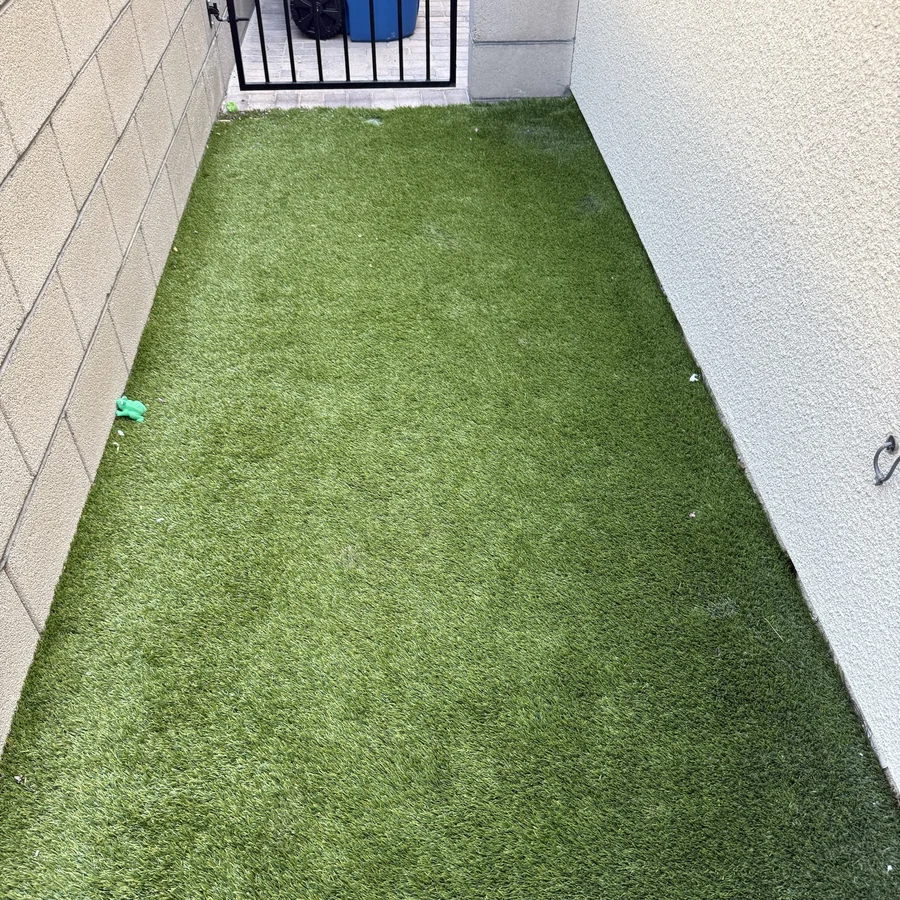 The same turf side yard after a Poop Scoop Dude visit, every piece picked up and the grass clear