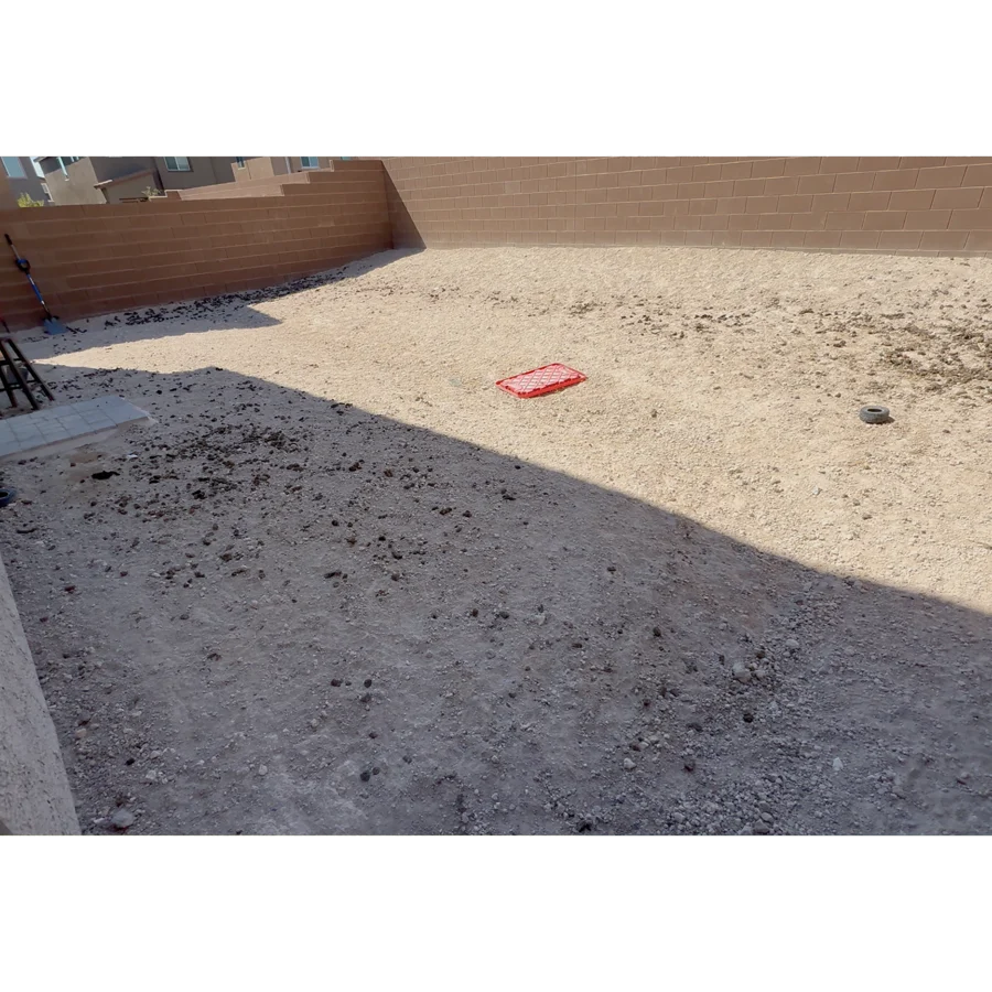 Before pet waste cleanup. Anthony Reed yard, Las Vegas