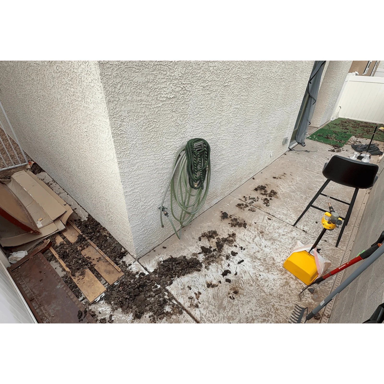 Before pet waste cleanup, real Las Vegas yard