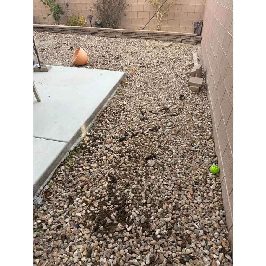 Yard before service