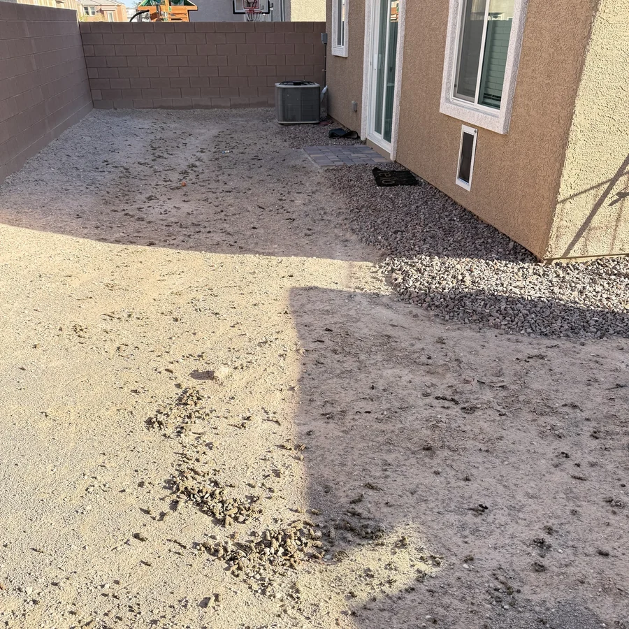 A Las Vegas desert backyard of dirt and gravel before service, covered in dog waste