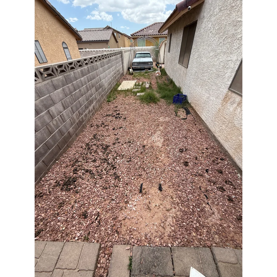 Before. Heather yard, Las Vegas