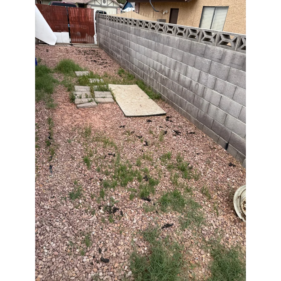 Before. Heather yard, Las Vegas