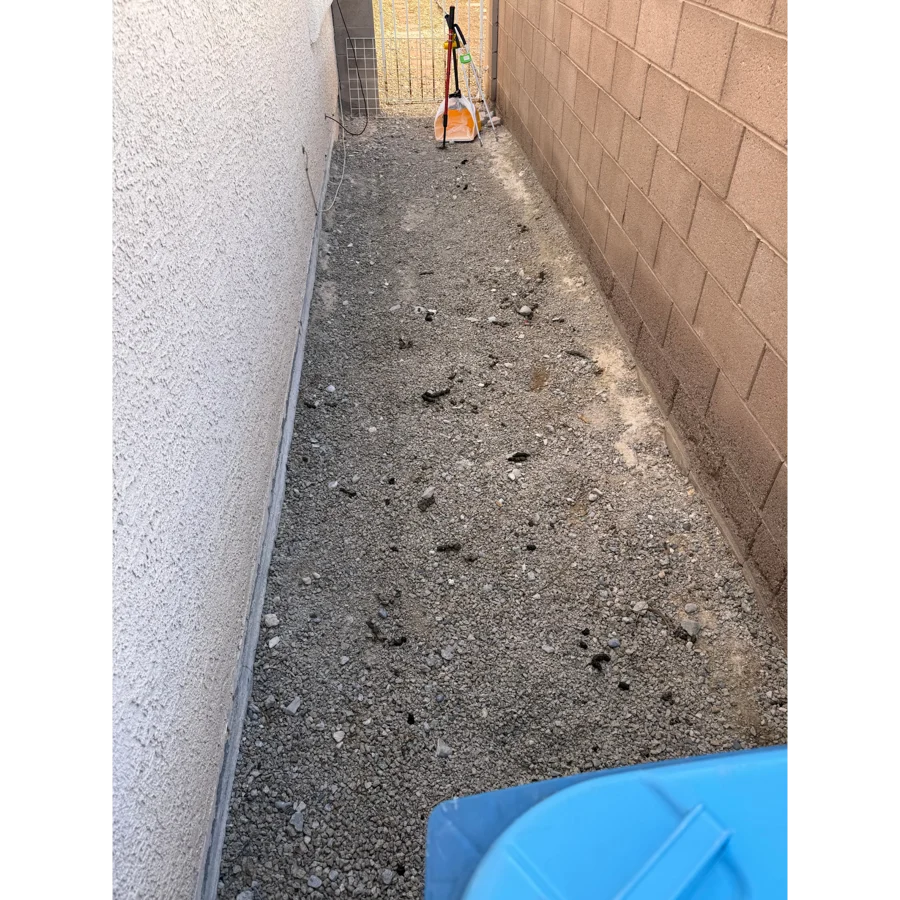 Before. Jasmine yard, Las Vegas