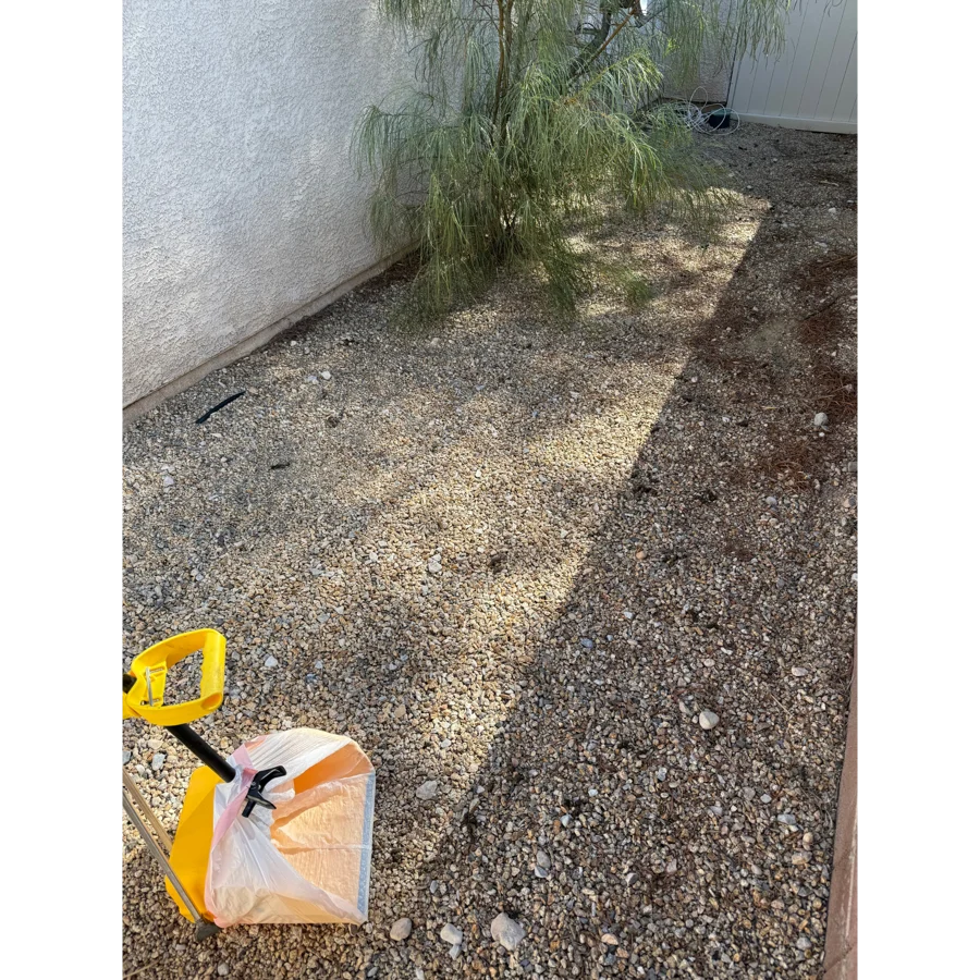 Before. Jeffery yard, Las Vegas