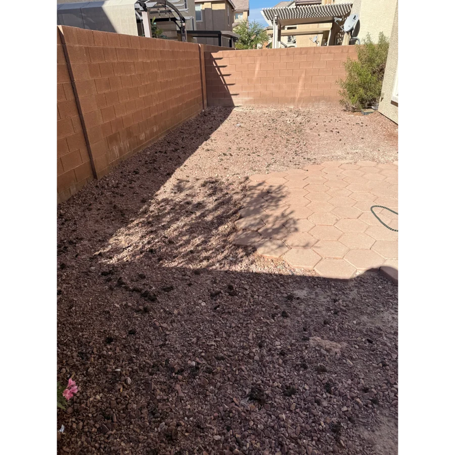 Before. Jhoi Pacheco yard, Las Vegas