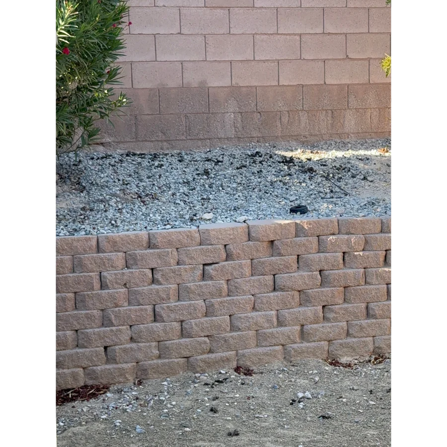 Before. Lucky yard, Las Vegas