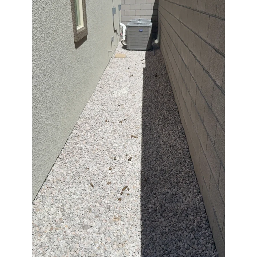 Before. Marissa yard, Las Vegas