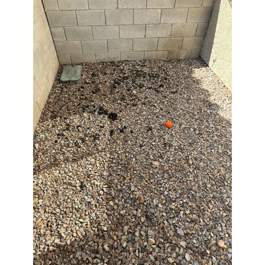 Before. Titecia yard, Las Vegas