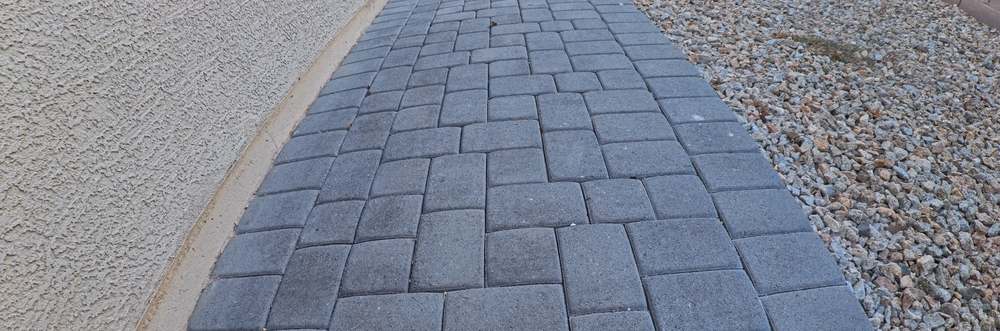 Clean Las Vegas yard after a Poop Scoop Dude visit