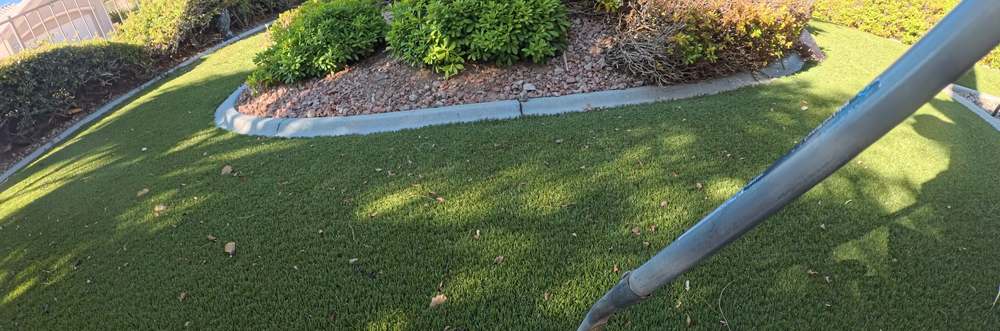 Clean Las Vegas yard after a Poop Scoop Dude visit