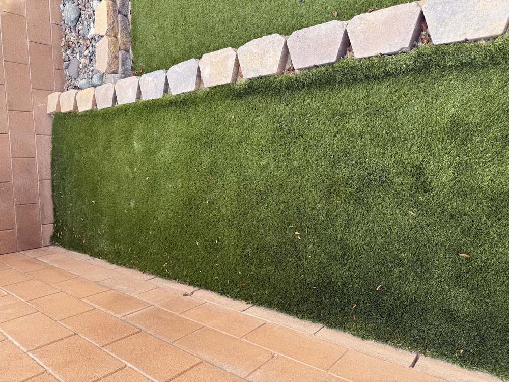 Clean Las Vegas yard after a Poop Scoop Dude visit