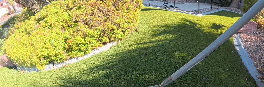 Clean Las Vegas yard after a Poop Scoop Dude visit
