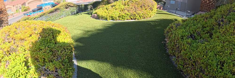 Clean Las Vegas yard after a Poop Scoop Dude visit