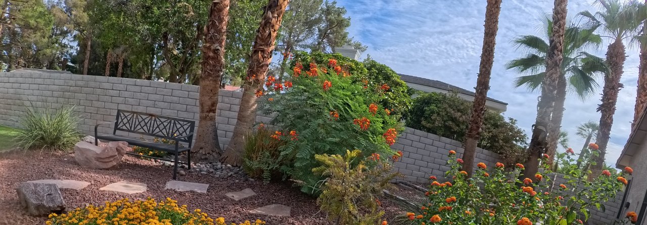 Clean Las Vegas yard after a Poop Scoop Dude visit
