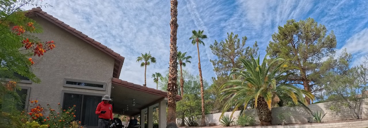 Clean Las Vegas yard after a Poop Scoop Dude visit