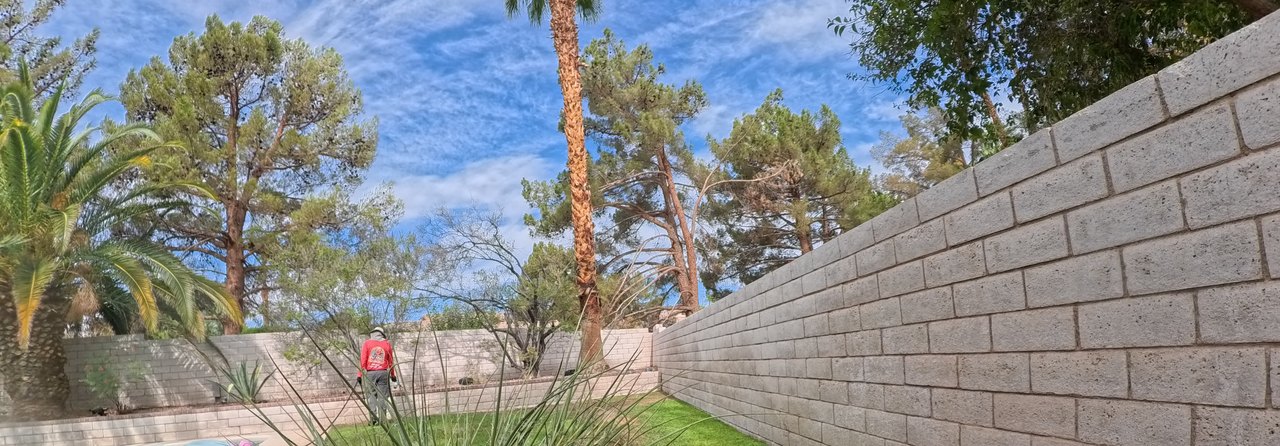 Clean Las Vegas yard after a Poop Scoop Dude visit