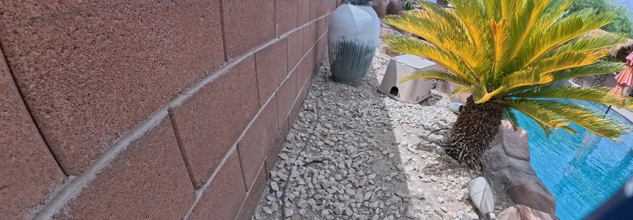 Clean Las Vegas yard after a Poop Scoop Dude visit