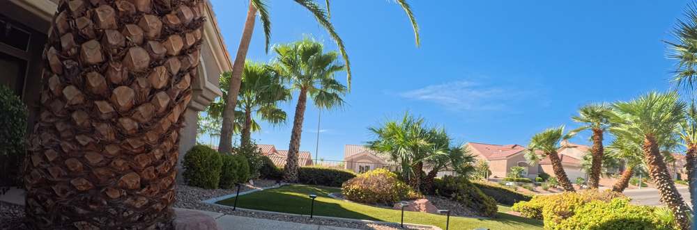 Clean Las Vegas yard after a Poop Scoop Dude visit