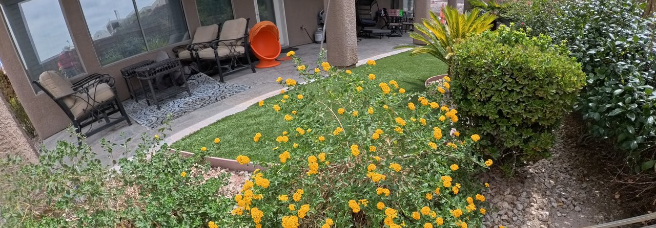 Clean Las Vegas yard after a Poop Scoop Dude visit