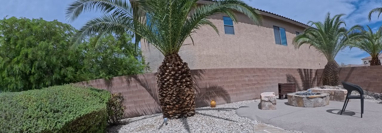 Clean Las Vegas yard after a Poop Scoop Dude visit