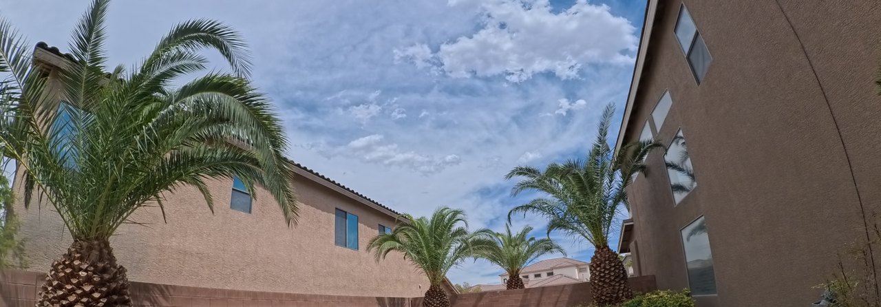 Clean Las Vegas yard after a Poop Scoop Dude visit