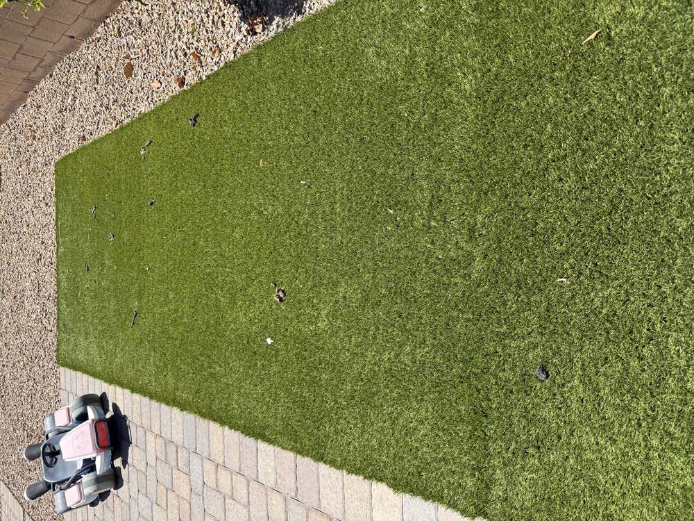 Clean Las Vegas yard after a Poop Scoop Dude visit