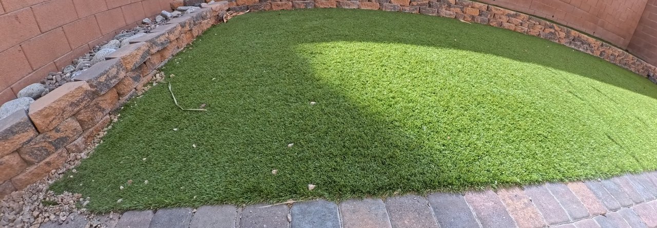 Clean Las Vegas yard after a Poop Scoop Dude visit