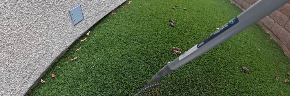 Clean Las Vegas yard after a Poop Scoop Dude visit