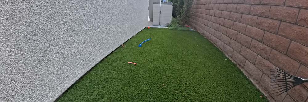Clean Las Vegas yard after a Poop Scoop Dude visit