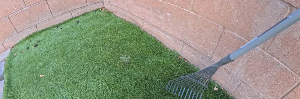 Clean Las Vegas yard after a Poop Scoop Dude visit