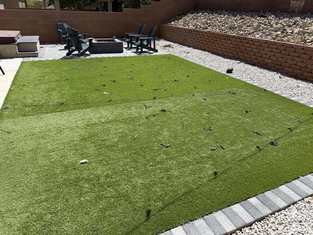 Clean Las Vegas yard after a Poop Scoop Dude visit