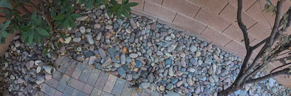 Clean Las Vegas yard after a Poop Scoop Dude visit