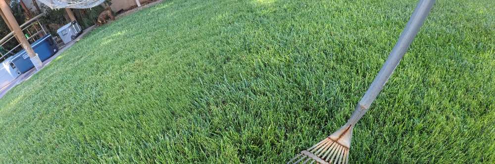 Clean Las Vegas yard after a Poop Scoop Dude visit