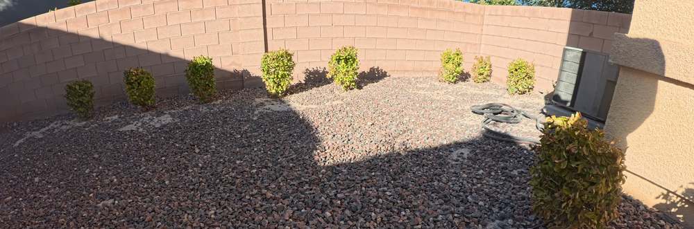 Clean Las Vegas yard after a Poop Scoop Dude visit