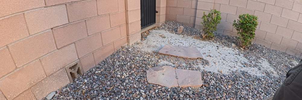 Clean Las Vegas yard after a Poop Scoop Dude visit