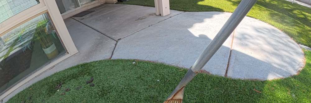 Clean Las Vegas yard after a Poop Scoop Dude visit