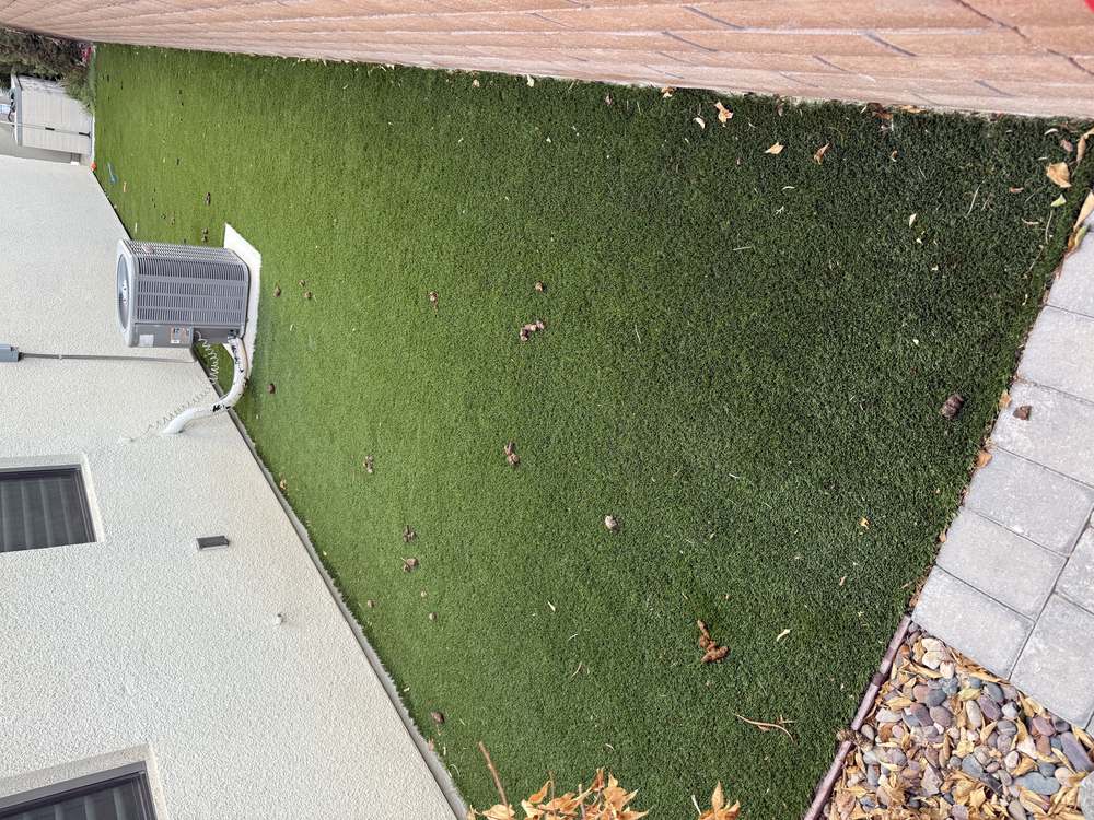 Clean Las Vegas yard after a Poop Scoop Dude visit