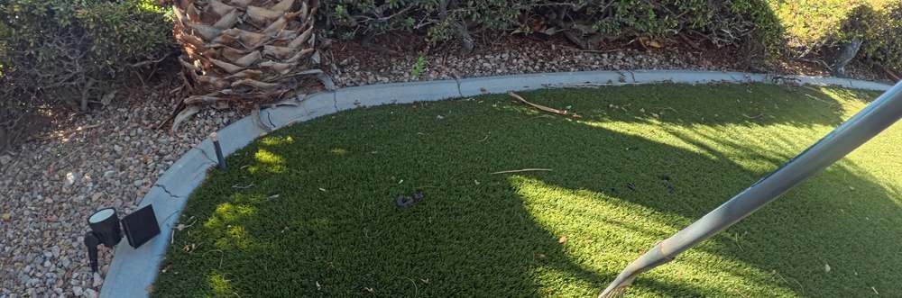 Clean Las Vegas yard after a Poop Scoop Dude visit