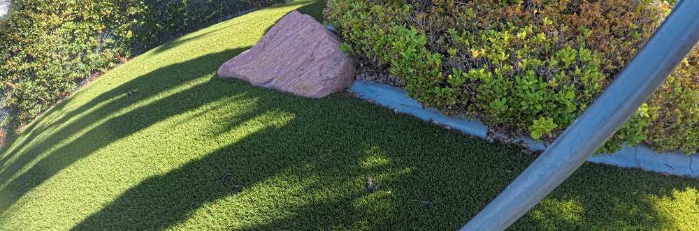 Clean Las Vegas yard after a Poop Scoop Dude visit