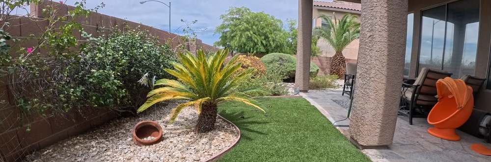 Clean Las Vegas yard after a Poop Scoop Dude visit